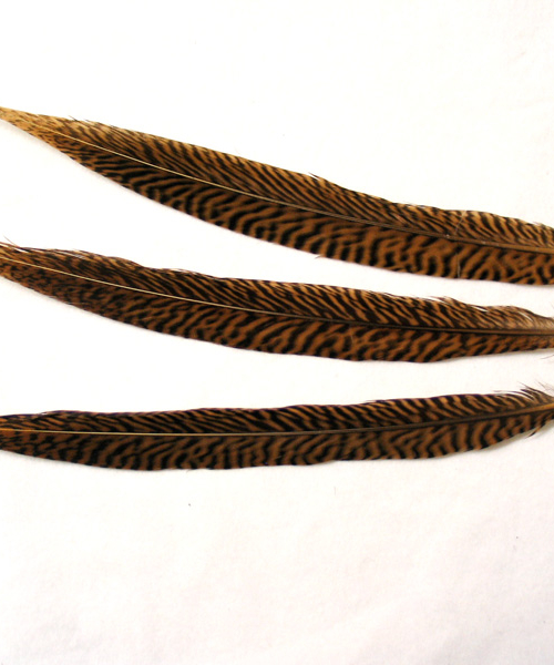 Goldfasanfeder natur, 039-41C/50